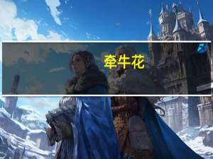 牵牛花（关于牵牛花的介绍）