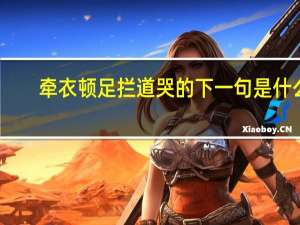 牵衣顿足拦道哭的下一句是什么