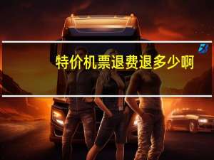 特价机票退费退多少啊