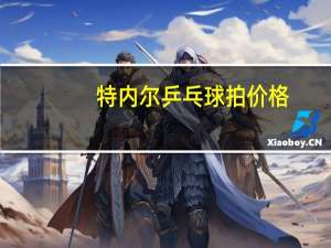 特内尔乒乓球拍价格