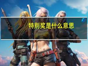 特别奖是什么意思