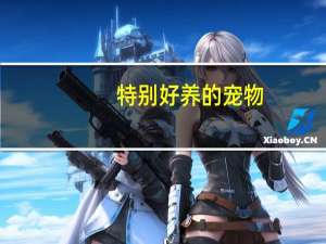 特别好养的宠物