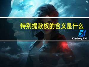 特别提款权的含义是什么