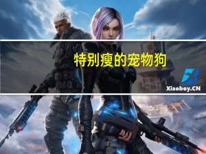特别瘦的宠物狗