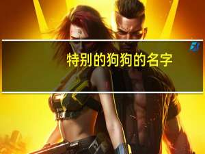 特别的狗狗的名字