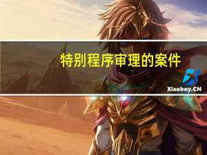 特别程序审理的案件