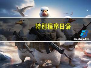特别程序日语
