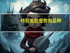 特别美的宠物狗品种