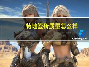 特地瓷砖质量怎么样