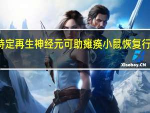 特定再生神经元可助瘫痪小鼠恢复行走能力