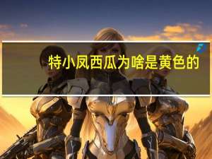 特小凤西瓜为啥是黄色的（特小凤）
