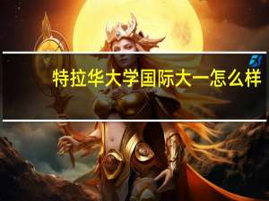 特拉华大学国际大一怎么样