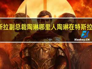 特斯拉副总裁陶琳哪里人 陶琳在特斯拉之前简历
