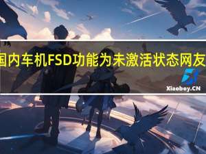 特斯拉国内车机FSD功能为未激活状态 网友曝光更新细节