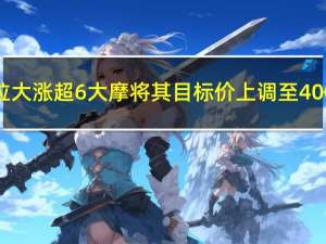 特斯拉大涨超6% 大摩将其目标价上调至400美元