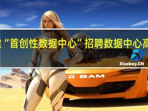 特斯拉将建“首创性数据中心” 招聘数据中心高级工程项目经理