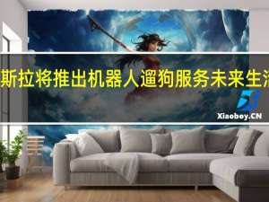 特斯拉将推出机器人遛狗服务 未来生活新伴侣