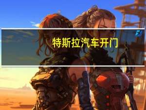 特斯拉汽车开门