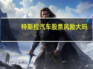 特斯拉汽车股票风险大吗