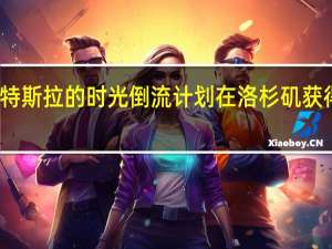 特斯拉的时光倒流计划在洛杉矶获得批准