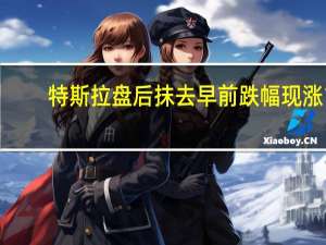 特斯拉盘后抹去早前跌幅现涨1.4%