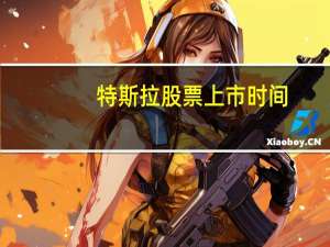 特斯拉股票上市时间