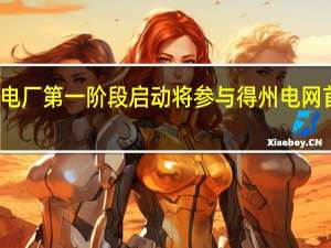 特斯拉虚拟电厂第一阶段启动 将参与得州电网首次虚拟电厂服务
