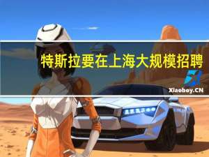 特斯拉要在上海大规模招聘，招聘是否有什么门槛