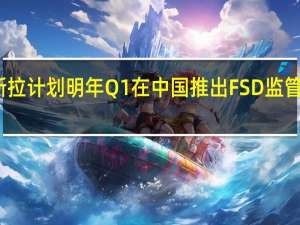 特斯拉计划明年Q1在中国推出FSD 监管批准待定