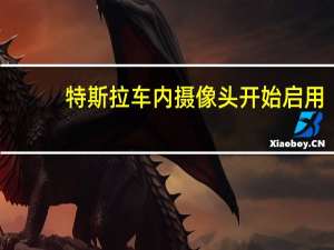 特斯拉车内摄像头开始启用：停车不看 时速65公里以上激活