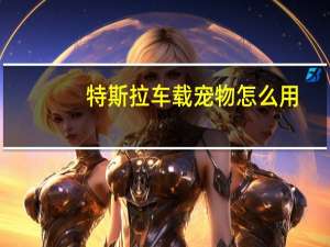 特斯拉车载宠物怎么用