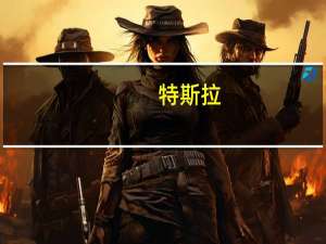 特斯拉：部分车型的税收抵免明年可能减少