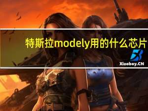 特斯拉modely用的什么芯片
