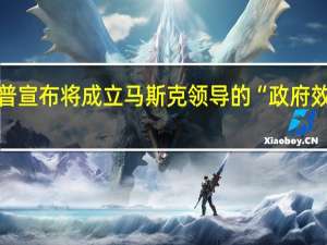 特朗普宣布将成立马斯克领导的“政府效率委员会”，马斯克回应：期待为美国效力——马斯克无偿担任主席
