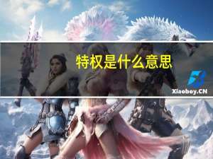 特权是什么意思
