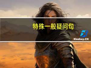 特殊一般疑问句
