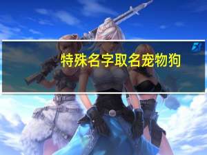 特殊名字取名宠物狗
