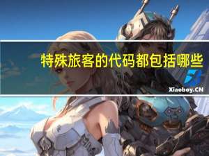 特殊旅客的代码都包括哪些