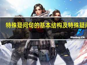特殊疑问句的基本结构及特殊疑问词