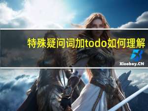 特殊疑问词加todo如何理解