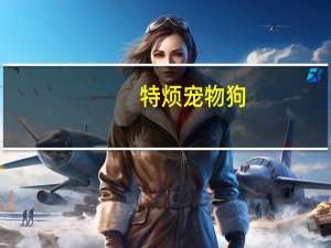 特烦宠物狗