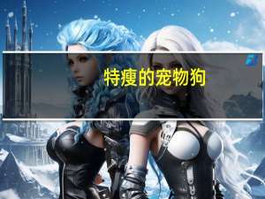 特瘦的宠物狗