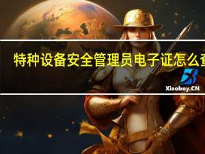 特种设备安全管理员电子证怎么查询