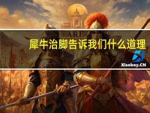 犀牛治脚告诉我们什么道理