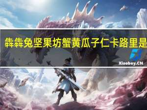 犇犇兔 坚果坊 蟹黄瓜子仁卡路里是多少