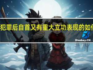 犯罪后自首又有重大立功表现的如何处罚