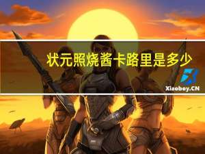 状元照烧酱卡路里是多少