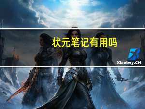 状元笔记有用吗