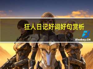 狂人日记好词好句赏析（狂人日记好词好句）