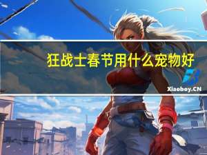 狂战士春节用什么宠物好